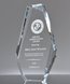 Picture of U.S. Navy Appreciation Award Crystal