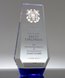 Picture of Distinguished Service Crystal Award