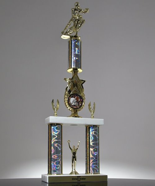 Picture of Star Riser Champion Trophy