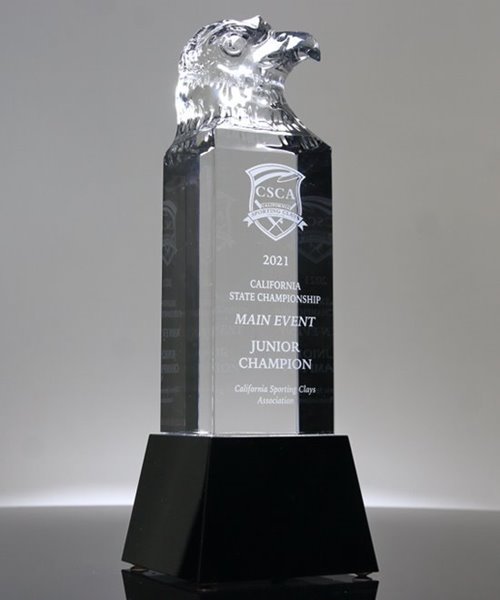 Picture of Crystal Eagle Award