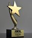 Picture of Gold Star Trophy