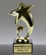 Picture of Star Fusion Award