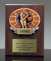 Picture of Xplosion Basketball Plaque Award