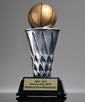 Picture of World Class Basketball Trophy