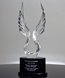 Picture of Victory Wings Crystal Award