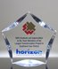 Picture of Full Color Acrylic Star Award