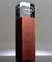 Picture of Pillar Fusion Award