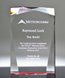 Picture of Optical Red Prism Acrylic Award