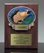 Picture of Xplosion Fishing Award Plaque