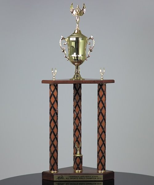 Picture of X-Large Traditional Team Trophy