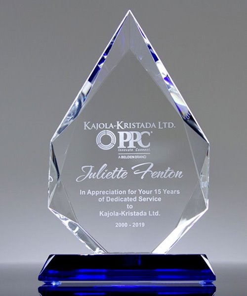Picture of Dedicated Service Crystal Award