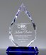 Picture of Dedicated Service Crystal Award