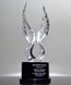 Picture of Victory Wings Crystal Award
