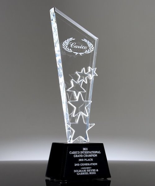 Picture of Custom Star Crystal Award