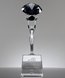 Picture of Black Diamond Crystal Trophy