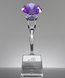 Picture of Attainment Diamond Purple Crystal