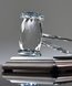 Picture of Crystal Gavel Desk Plaque