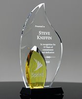 Picture of Amber Flame Award