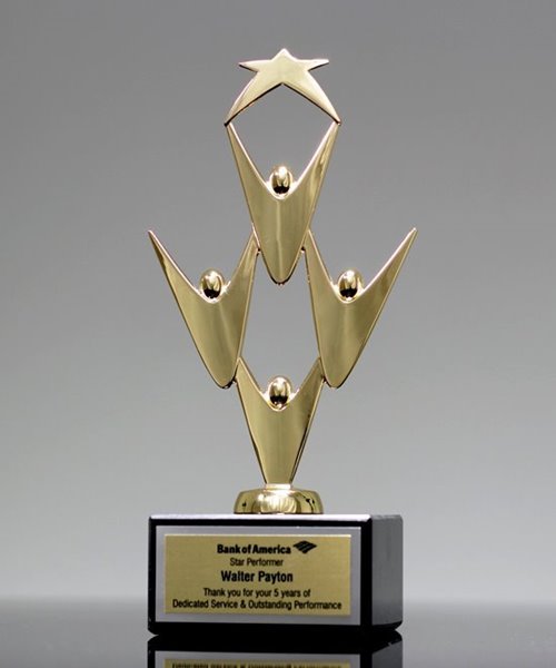 Picture of Team Victory Star Award