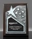 Picture of Recognition Silver Star Plaque