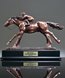 Picture of Race Champion Jockey Award