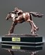 Picture of Race Champion Jockey Award