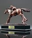 Picture of Race Champion Jockey Award