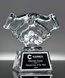 Picture of Triumph Crystal Handshake Award