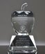 Picture of Clear Crystal Apple Award