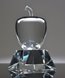 Picture of Signature Crystal Apple Award