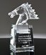 Picture of Crystal Horse Award
