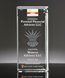 Picture of 2D Etched Crystal Award Block