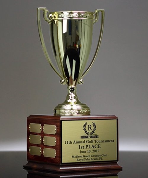 Picture of Perpetual Achievement Cup