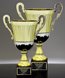 Picture of Two-Tone Metal Trophy Cup