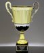 Picture of Two-Tone Metal Trophy Cup