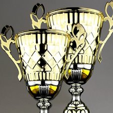 Picture for category Trophy Cups