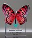 Picture of Vivid Butterfly Trophy