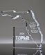 Picture of Florida Shape Acrylic Paperweight Award