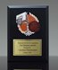 Picture of Color-Theme Basketball Plaque