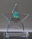 Picture of Excellence Star Award with Full Color Imprint