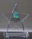 Picture of Excellence Star Award with Full Color Imprint