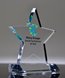 Picture of Excellence Star Award with Full Color Imprint