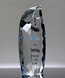Picture of Faceted Crystal Flame Trophy - Full Color Imprint