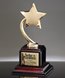 Picture of Gold Star Trophy on Rosewood Base - Achievement Award