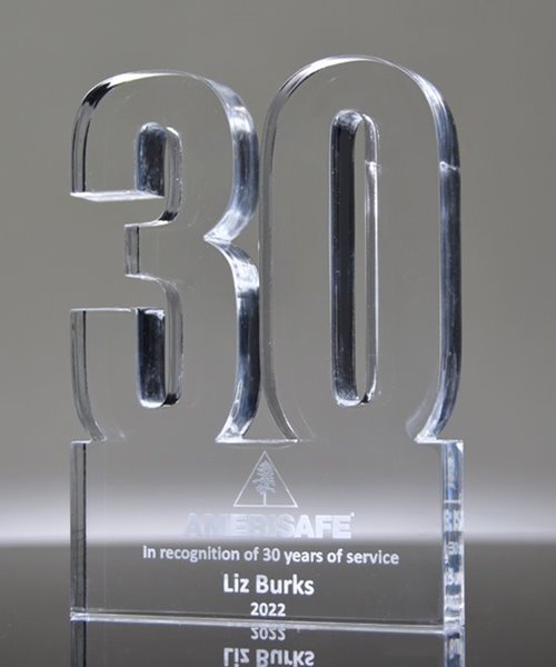 Picture of 30 Year Anniversary Award