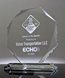 Picture of Driver Recognition Crystal Octagon