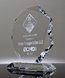 Picture of Driver Recognition Crystal Octagon