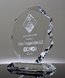 Picture of Truck Driver Recognition Crystal Octagon Award