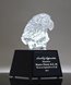 Picture of Crystal Eagle Bust Award