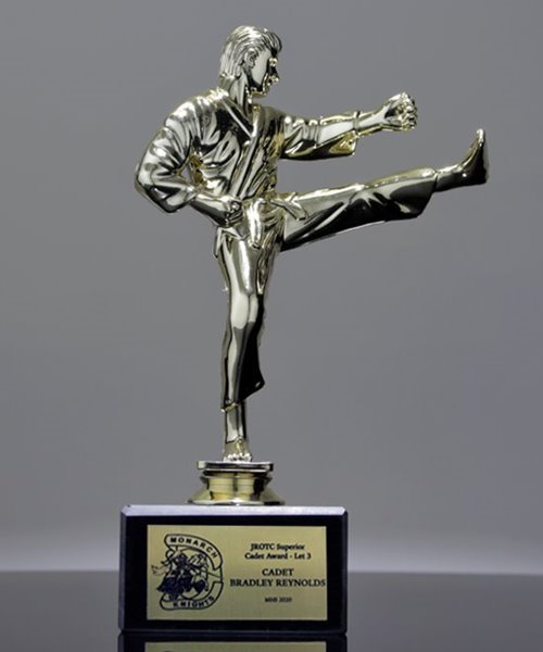 Picture of Karate Kick Trophy